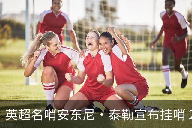 英超名哨安东尼·泰勒宣布挂哨 20年生涯执法831场